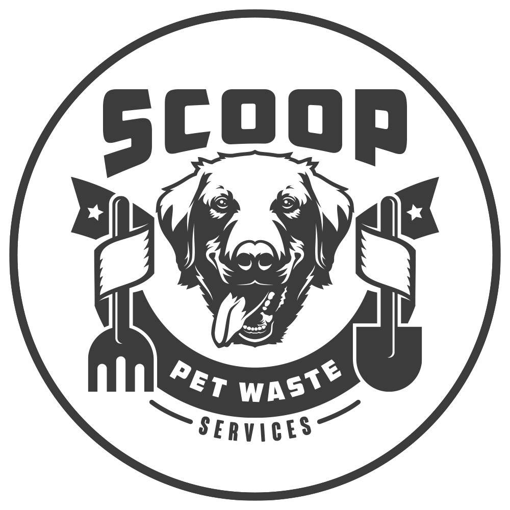 Scoop Services
